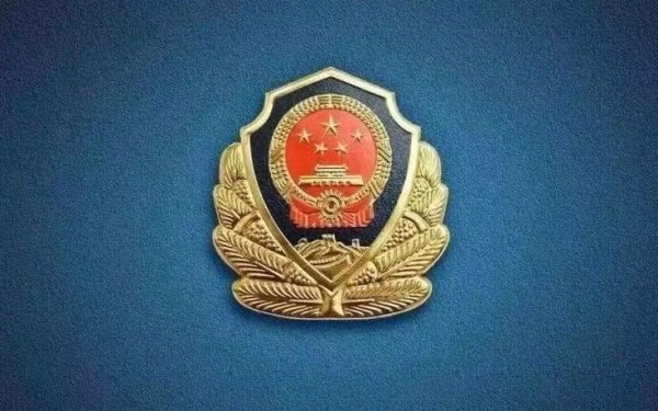 手机百家家乐app官方版 公安部网安局：网暴救灾村支书戴“金耳饰”，涉事东说念主员被处置