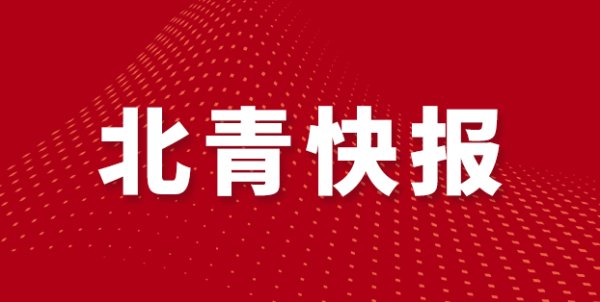 手机百家家乐app安装2026最新版 波及毛绒玩物、电动童车……一批儿童关系国度举止认真发布