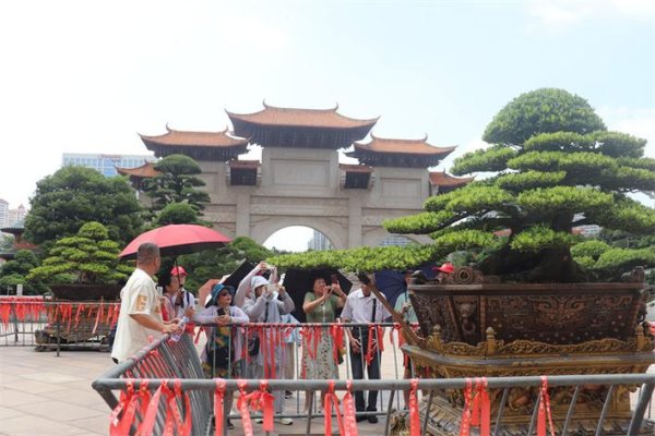 手机百家家乐app安装2026最新版 厦门直飞首发旅游团抵玉