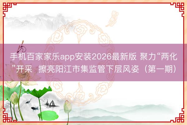 手机百家家乐app安装2026最新版 聚力“两化”开采  擦亮阳江市集监管下层风姿（第一期）